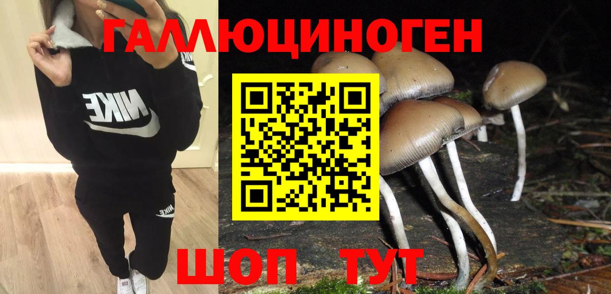 Псилоцибиновые грибы мухоморы Горно-Алтайск