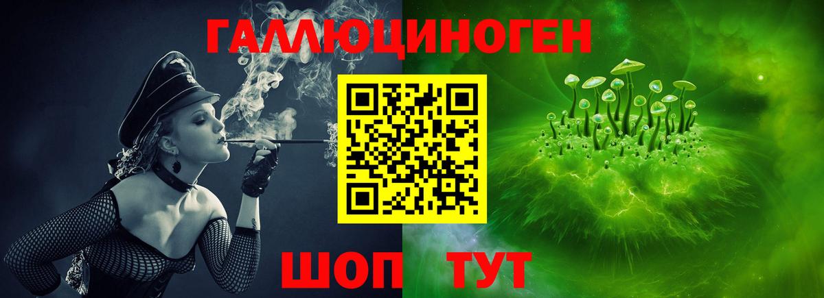 Псилоцибиновые грибы ЛСД  Вход с VPN  Горно-Алтайск 